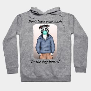 Quarantine Collie - Wear a mask! Hoodie